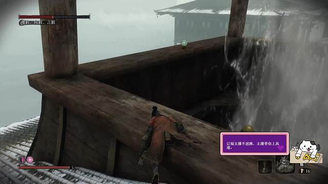 只狼挨揍狼片段被猴子溜了半天。。。。。