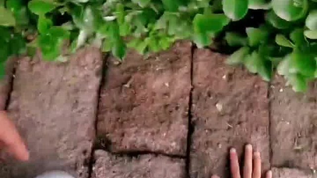 悠游岁月：一段逍遥的时光