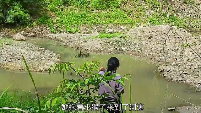 女人在森林里捡到一只小猴子，刚出生的小猴子实在太可怜了