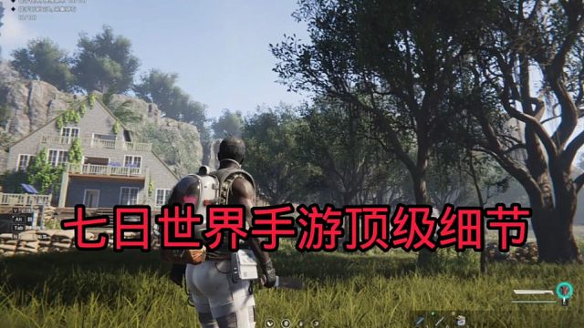 七日世界手游细节