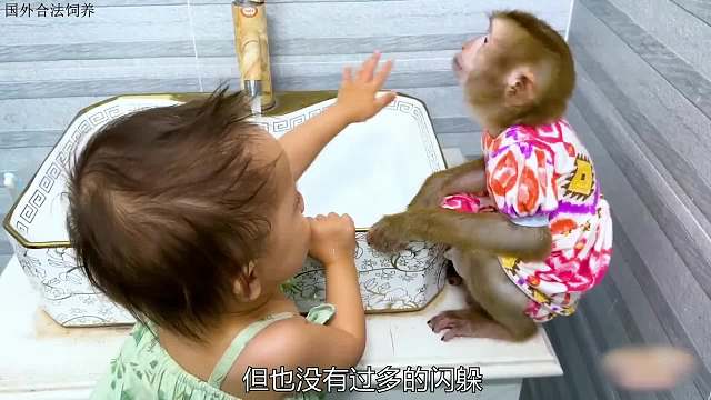 妈妈不在家，小猴子和妹妹照顾彼此，实在太暖心了