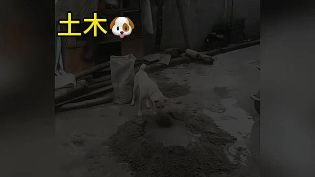 58. 今天的功德又笑没了