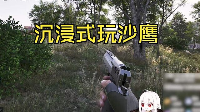 【抒情暗区】沉浸式玩沙鹰 手感不错！