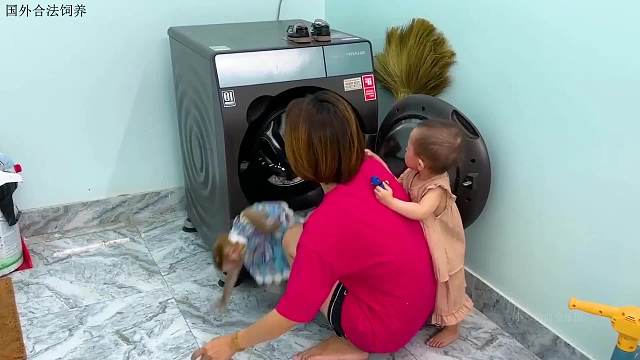 妈妈丢了项链特别伤心，小猴子帮忙寻找