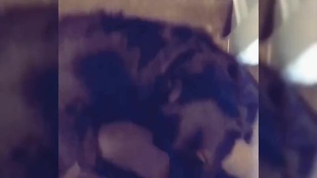 这老公可真不是个玩意，竟然能干出这事来