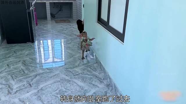 妈妈突然生病，小猴子着急坏了