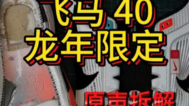 沉浸式拆解，飞马40龙年限定