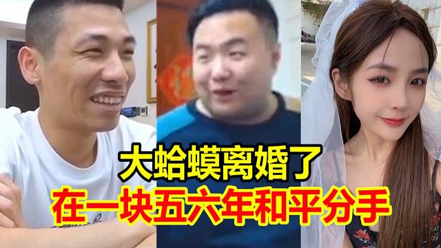 大蛤蟆离婚了！宝哥作为证婚人苦笑道：俩人在一块五六年和平分手！
