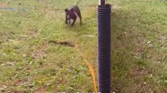 是套路，永远差一点