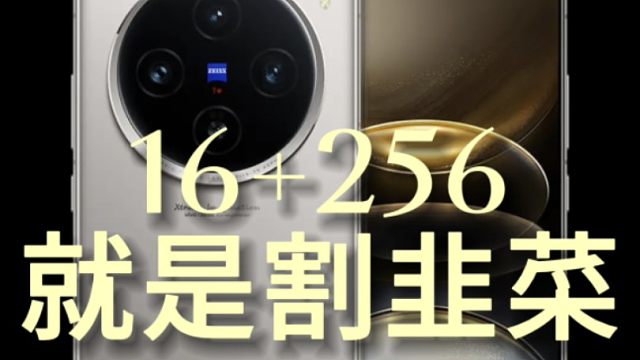 vivo X100S的16+256为什么别买