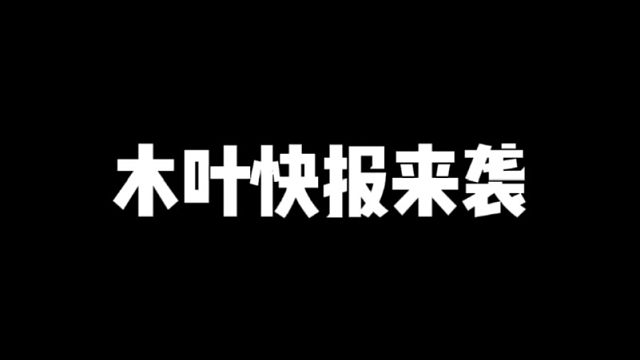 木叶快报来袭！都会更新哪些活动！全程没有废话！