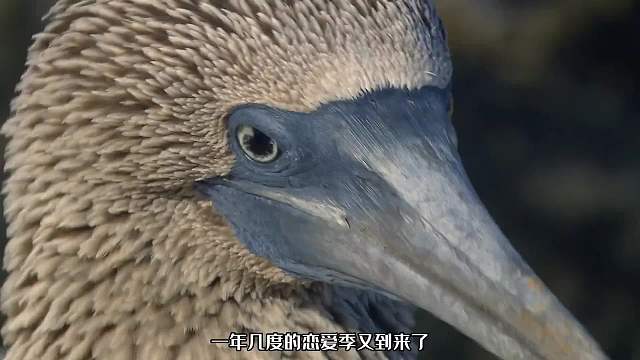 找对象不能光靠蛮力，还得上才艺