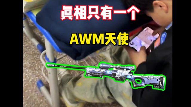 真相只有一个，那就是AWM-天使