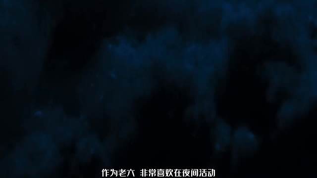 海底极速杀手：像外星生物的都不好惹，特别是这个老六