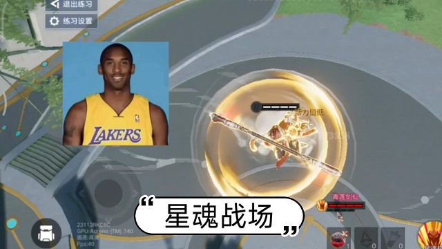 这猴子怎么升天了