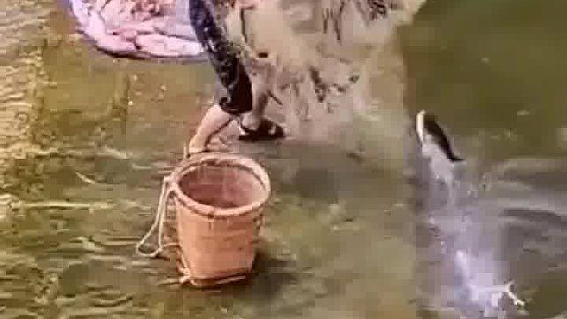 捕鱼的欢乐时光