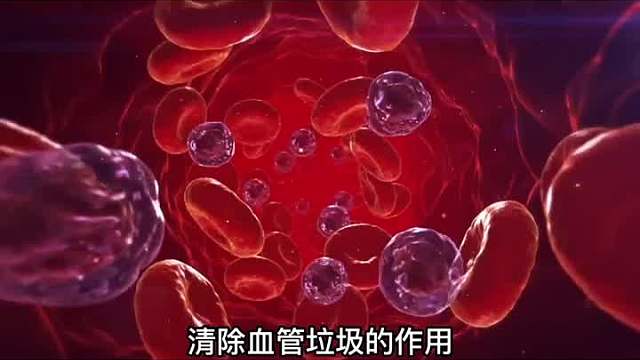 蒲公英的奇迹：颠覆传统认知的益处