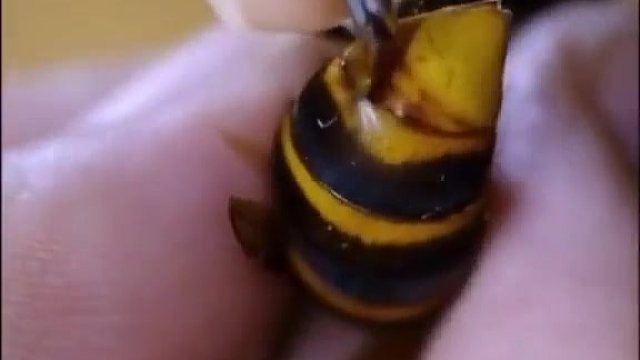 万一一下子钻进你皮肤的话