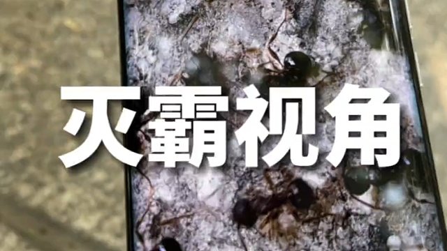 vivox100ultar微视角