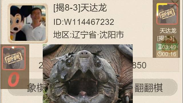 揭棋-棒打断线狗脚踢丧家犬-沈阳天打龙.你戴个眼镜就算人了么