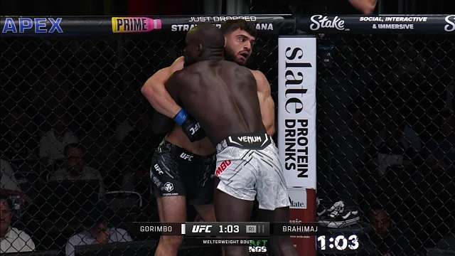 UFC格斗之夜241	戈林博 VS 布拉希马吉 清流