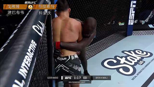 	UFC格斗之夜241	戈林博 VS 布拉希马吉 解说