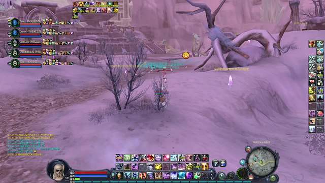 跨服野外小队片段