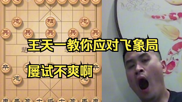 王天一教你应对飞象局，太精彩了