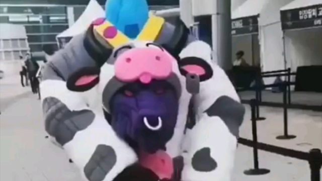 大哥，你是知道我的