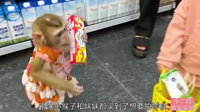 小猴子和妹妹逛超市，买回来的东西笑坏了妈妈