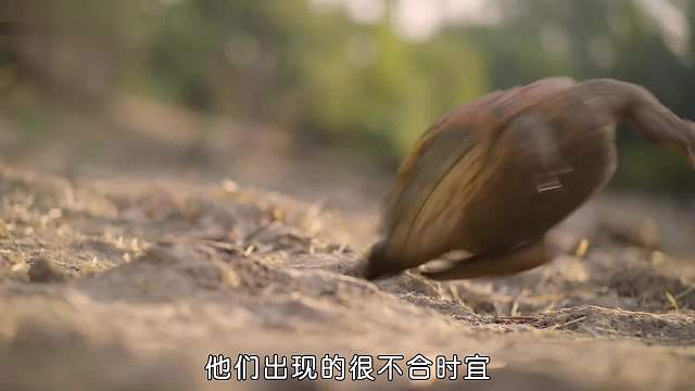 都别惹我，我脾气不好