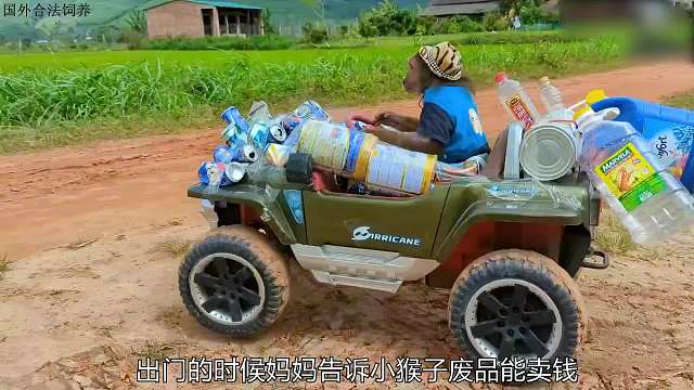 小猴子帮妈妈处理废品，实在太懂事了