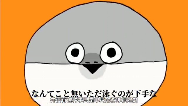 萨卡班甲鱼之歌纯享版