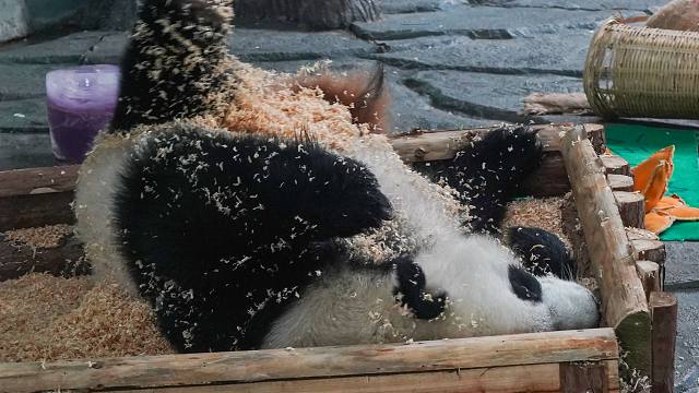 洗澡配上搓澡巾，把自己洗的白白净净