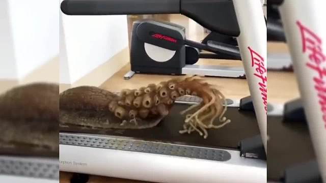 真是不看不知道一看吓一跳，这玩意是成精了吗