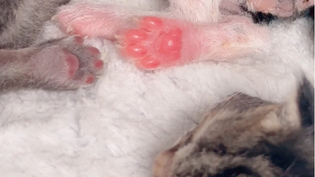 小生命真美好啊，好幸运遇到了豆包