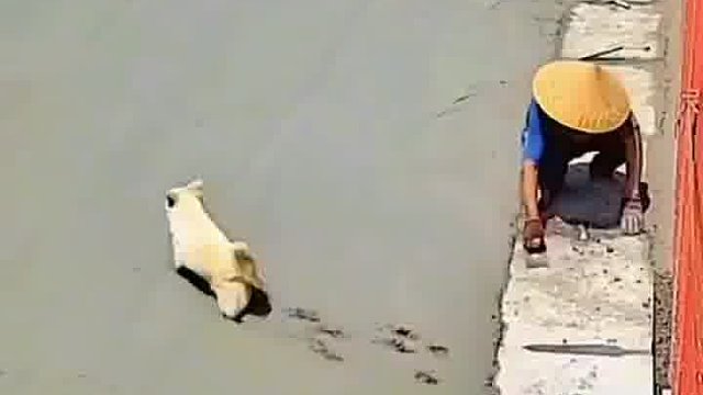 求大叔心里在想什么？