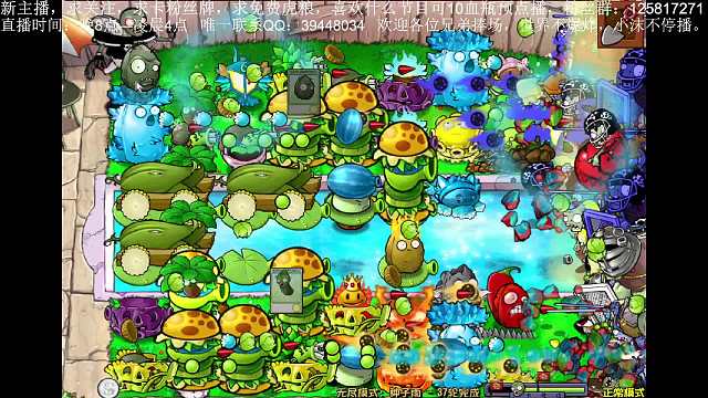 种子雨4炮火力就是猛！