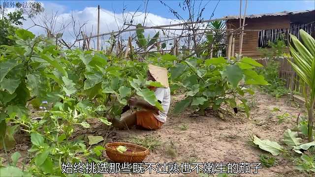 小猴子摘了一车茄子，卖了钱给爸爸买炸糕