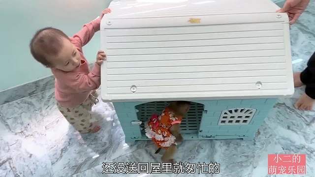 小猴子有了新房子，喜欢的不愿意出来
