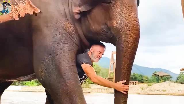 原来，人物动物的感情，是那么纯粹，是那么的天真