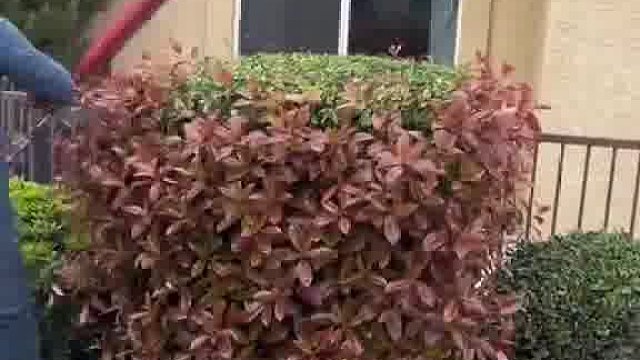 师傅，稍微修一下