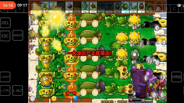 植物大战僵尸杂交版无尽的幸运向日葵女王开局3