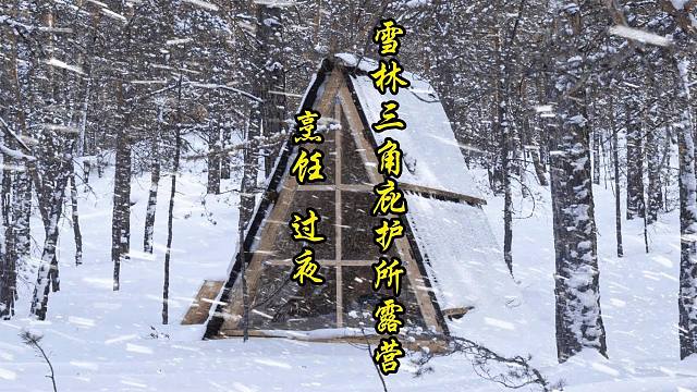 雪林里的三角庇护所露营 烹饪 过夜