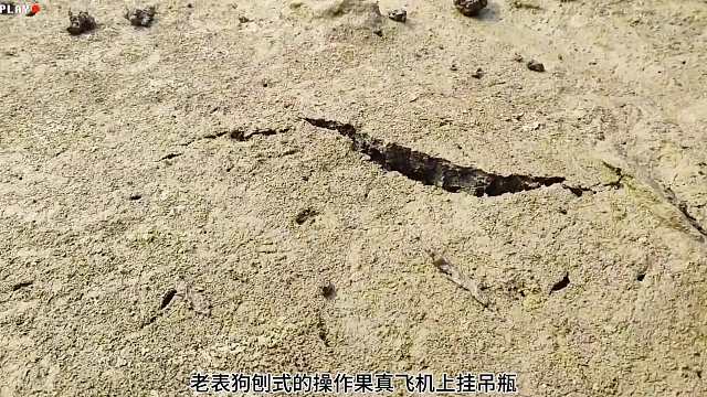 挖黄鳝假如遇到毒蛇