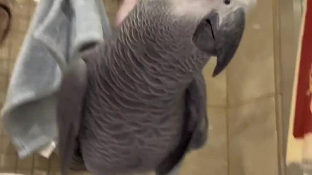 要被小宝笑晕掉了~