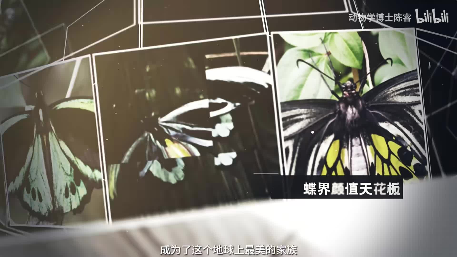 泡着温泉除了看得多还能收获什么，谁想和我一起？！