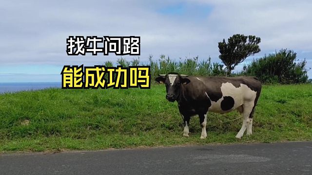 那些跟人偶遇的动物们！