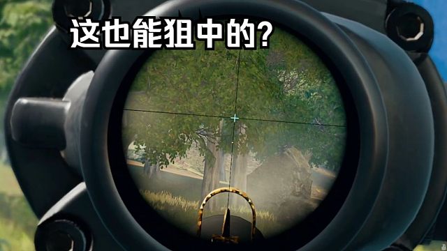 这把游戏至少20个举报！