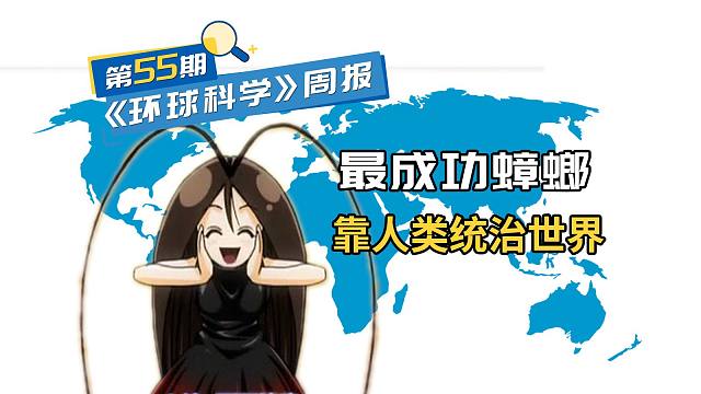 我们找到了消灭蟑螂的方法，只是代价有点大｜《环球科学》周报055期